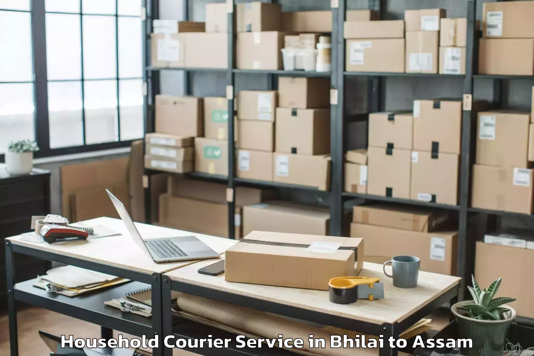 Trusted Bhilai to Bokajan Household Courier